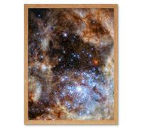 Artery8 Hubble Space Telescope Image Star Cluster R136 Spectroscopic Study Of The Central Region Of Tarantula Nebula In The Large Magellanic Cloud Artery8 Beige W12" x H16"