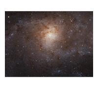 Artery8 Hubble Space Telescope Image Triangulum Spiral Galaxy M33 Crop Blue Orange Star Birthing Region Unframed Wall Art Print Poster Home Decor Premium