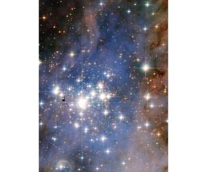 Artery8 Hubble Space Telescope Image Trumpler 14 Large Luminous Blue Stellar Cluster In Milky Way Starbirth Region With Small Dark Knot Gas Laced With Dust Extra Large XL Wall Art Poster Print