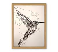 Artery8 Humming Bird in Flight Line Drawing Portrait Artwork Framed Wall Art Print 18X24 Inch