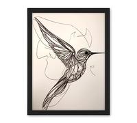 Artery8 Humming Bird in Flight Line Drawing Portrait Artwork Framed Wall Art Print 18X24 Inch