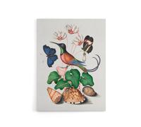 Artery8 Hummingbird Cyclamen Butterflies Seashells Bolton Canvas Wall Art | Size: W24" x H32" Artery8 Multicolor W24" x H32"