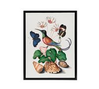 Artery8 Hummingbird Cyclamen Butterflies Seashells Bolton Framed Canvas Art | Size: W18" x H24" Artery8 Multicolor W18" x H24"