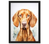 Artery8 Hungarian Vizsla Dog Soft Watercolour Artwork Golden Rust Teal Bright Portrait Artwork Framed A3 Wall Art Print