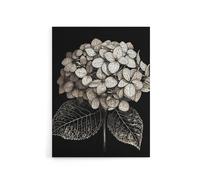 Artery8 Hydrangea Flower Bloom Black White Canvas Wall Art Print in Grey | Size: W18" x H24" Artery8 Grey W18" x H24"