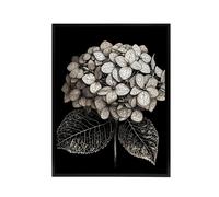 Artery8 Hydrangea Flower Bloom Black White Framed Canvas Wall Art Print in Grey | Size: W18" x H24" Artery8 Grey W18" x H24"