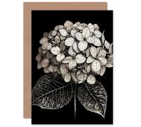Artery8 Hydrangea Lover Flower Detail for Wife Her Mum Sister Daughter Mom Gran Nan Birthday Thank You Get Well Soon Blank Art Greeting Card