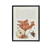 Artery8 Insects Orange Lily & Apple Calligraphy Framed Canvas Wall Art Print in White | Size: W24" x H32" Artery8 White W24" x H32"