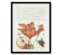 Artery8 Insects Orange Lily & Apple Calligraphy Framed Wall Art Print in White | Size: W12" x H16" Artery8 White W12" x H16"