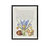 Artery8 Iris Flower & Hazelnut Calligraphy Framed Canvas Wall Art Print in White | Size: W18" x H24" Artery8 White W18" x H24"