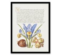 Artery8 Iris Flower & Hazelnut Calligraphy Framed Wall Art Print in White | Size: A4 Artery8 White A4