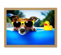 Artery8 Jack Russell Dog Sunglasses Rubber Duck A4 Artwork Framed Wall Art Print