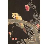 Artery8 Jakuchu Parrot Branch Flowering Rose Bush Japanese Painting Large Wall Art Poster Print Thick Paper 18X24 Inch