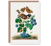 Artery8 James Bolton Art Card Bramble Rubus Starling & Butterflies Artery8 Multicolor