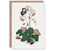 Artery8 James Bolton Art Card Cyclamen Butterfly Beetles & Shell in White Artery8 White