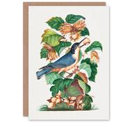 Artery8 James Bolton Art Card Nuthatch Bird Hazel Oak & Bramble Artery8 Multicolor