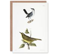 Artery8 James De Kay Gnatcatcher and Kentucky Warbler Personalised Art Greeting Card