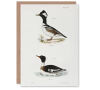 Artery8 James De Kay Hooded & Red Breasted Sheldrake Art Greeting Card in White Artery8 White