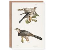 Artery8 James De Kay Pigeon Hawk and Coopers Hawk Personalised Art Greeting Card