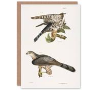 Artery8 James De Kay Pigeon Hawk & Coopers Hawk Art Greeting Card in White Artery8 White
