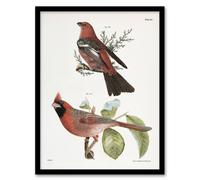 Artery8 James De Kay Pine Bulfinch & Cardinal Grosbeak Framed Wall Art Print in White | Size: W12" x H16" Artery8 White W12" x H16"