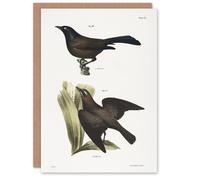 Artery8 James Ellsworth De Kay Crow Blackbirds Illustration Blank Art Greeting Card