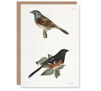 Artery8 James Ellsworth De Kay Swamp Finch and Chewink Personalised Art Greeting Card