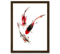 Artery8 Japan Koi Fish Black & Red Swimming Artwork Framed Wall Art Print A4 in Brown Artery8 Brown