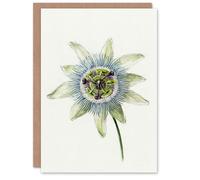 Artery8 Jean Bernard Art Card Passion Flower Bloom Floral Drawing