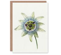 Artery8 Jean Bernard Art Card Passion Flower Bloom Floral Drawing