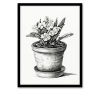 Artery8 Jean Bernard Framed Wall Art Potted Flowering Plant Pencil Drawing in White | Size: A3 Artery8 White A3