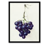 Artery8 Jean Bernard Framed Wall Art Print Bunch of Blue Grapes Oil Painting in White | Size: A3 Artery8 White A3