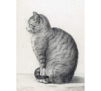 Artery8 Jean Bernard Sitting Cat To Left Pencil Drawing Large Wall Art Poster Print Thick Paper 18X24 Inch