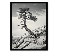 Artery8 Jeffrey Pine Tree Sentinel Dome Black and White Artwork Framed Wall Art Print 18X24 Inch