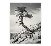 Artery8 Jeffrey Pine Tree Sentinel Dome Black and White Extra Large XL Wall Art Poster Print