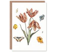 Artery8 Johan Teyler Art Card Flowers Butterflies & A Fly in White Artery8 White