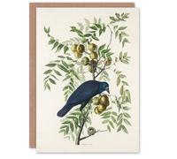 Artery8 John James Audubon Art Card American Crow on Walnut Tree