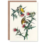 Artery8 John James Audubon Art Card American Goldfinch and Thistle