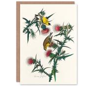 Artery8 John James Audubon Art Card American Goldfinch and Thistle