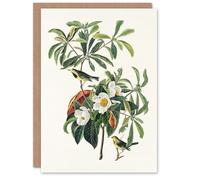 Artery8 John James Audubon Art Card Bachmans Warbler and Franklinia Tree