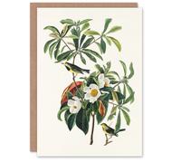 Artery8 John James Audubon Art Card Bachmans Warbler and Franklinia Tree