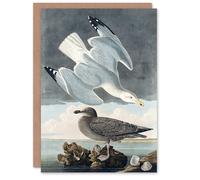 Artery8 John James Audubon Art Card Birds of America Herring Gull