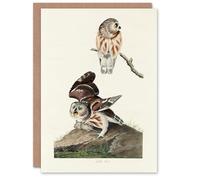 Artery8 John James Audubon Art Card Birds Of America Little Owls