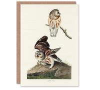 Artery8 John James Audubon Art Card Birds Of America Little Owls