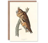 Artery8 John James Audubon Art Card Birds Of America Long Eared Owl
