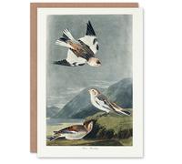 Artery8 John James Audubon Art Card Birds of America Snow Bunting