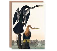 Artery8 John James Audubon Art Card Black Bellied Darter Bird