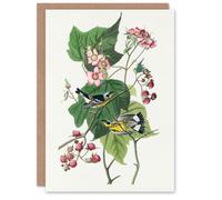 Artery8 John James Audubon Art Card Black and Yellow Warblers