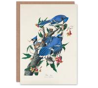 Artery8 John James Audubon Art Card Blue Jay and Trumpet Flowers