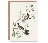 Artery8 John James Audubon Art Card Canadian Titmouse Bird